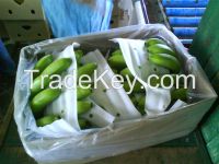 https://ar.tradekey.com/product_view/Agricultural-Product-From-Philippines-7382171.html