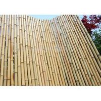 bamboo fencing and bamboo edging