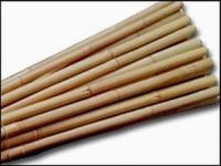 bamboo pole and bamboo stake and bamboo cane