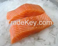 Atlantic Salmon, Coho and Trout