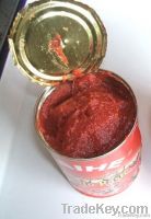 Canned Tomato Paste 24x400g/ctn