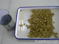 Canned Green Peas 24x400g/ctn