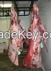 Halal Sheep, Lamb Carcass and beef Frozen/Chilled