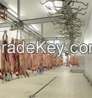 Halal Sheep and Lamb Carcass Frozen/Chilled