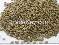 VIETNAM ROBUSTA COFFEE BEST QUALITY BEST PRICE