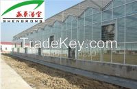 Large Multi-span Glass Greenhouse