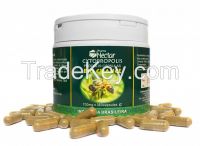 Cytopropolis 30,60,90 and 360 Capsules 700mg