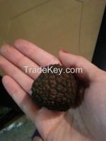 truffles