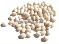 White  and Light Speckled Kidney Beans