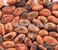 https://jp.tradekey.com/product_view/Cameroon-Cocoa-Bean-7416019.html