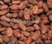 Cocoa Beans