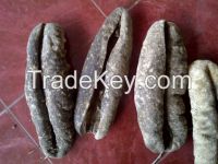 High Quality Milk Sea Cucumber