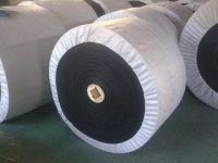 High quality Nylon conveyor belt with low price in China