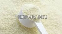 Bulk Supply Protein Whey Powder
