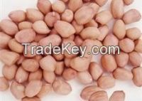 Unshelled Peanuts