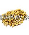 Coriander seeds