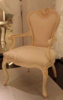 Dining Room Furniture Dining Chair FY-101