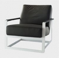 Living chair leisure chair office chair chair with cushion OILC201