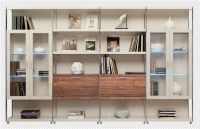 Bookcase office cabinet sectional bookcase OO821