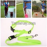 High quality pet collars and leashes runing dog cat leash charm decora