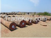 SELL AFRICAN WOOD