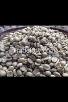 Phahikof Premium Arabica Beans