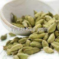 Cardamom