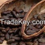 Cocoa Beans