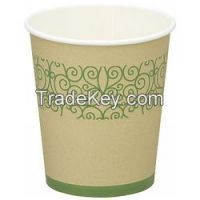 Paper Cup