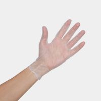 Dolphin Vinyl Powder-Free Disposable Gloves - Clear - Large - 100 Pack
