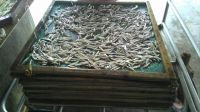 Dried Anchovy At The Best Price In Russia 