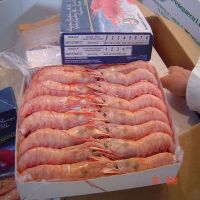 Argentine Frozen Crystal Red Shrimp/ Frozen Black Tiger Shrimp at PERFECT QUALITY