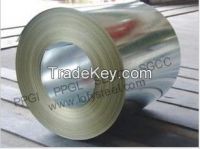 PPGI, zinc sheet, steel sheet, steel coil, galvanized sheet, galvanized steel coil