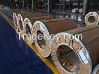 GALVANIZED STEEL COIL | SGLD STEEL METAL SHEET