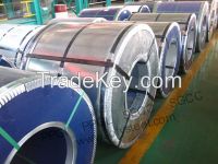 GALVANIZED STEEL COIL | SGCC STEEL METAL SHEET