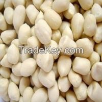 Blanched Peanut Kernels   