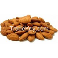 ALMONDS NON PAREIL INSHELL