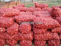 PREMIUM RED AND YELLOW ONION FOR SALE