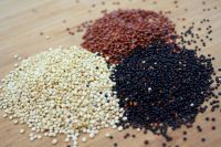 suppliers quinoa roja, blanca, negra, organica, conventional from peru