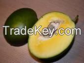 https://es.tradekey.com/product_view/African-Mango-Seeds-7504001.html