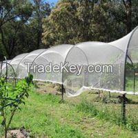 Fruit Tree Netting