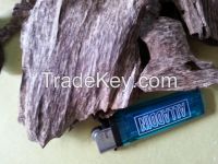 Agarwood