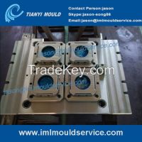 professional plastics thin wall mold companies