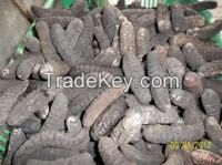 https://jp.tradekey.com/product_view/Hoisom-Sand-Fish-Sea-Cucumber-7663613.html