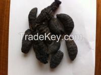 DRIED SEA CUCUMBER