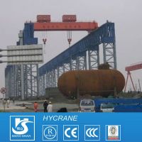 Double Trolley Overhead Crane QE Model