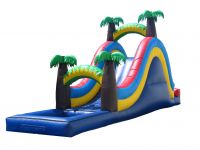 Tropical Water Slide