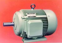 Y Series AC Three Phase Electric Motor