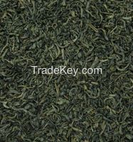 Chinese green tea chunmee with leaf washed