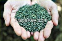 Chinese best quality green tea chunmee 41022A AA